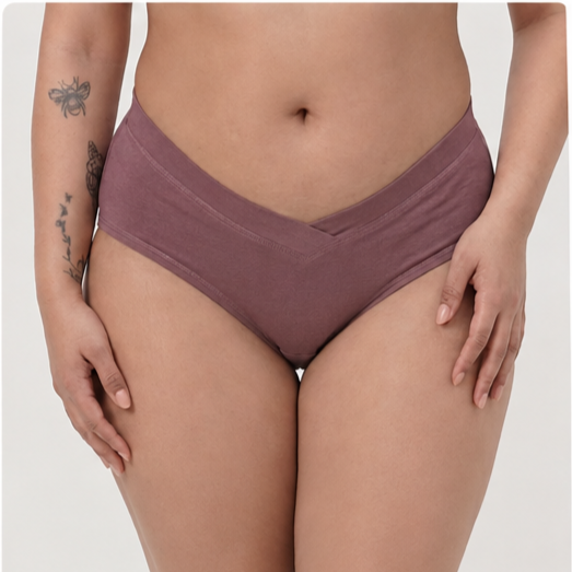 Curve Luxe Panty