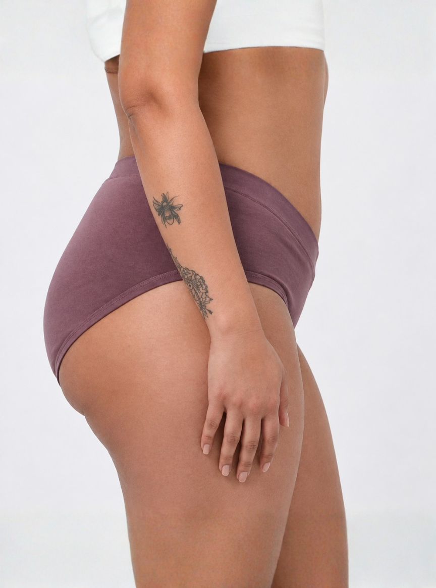 Curve Luxe Panty (Pack of 2,3)
