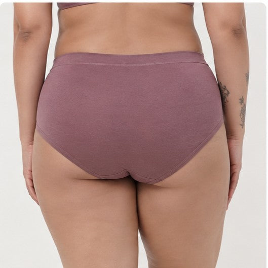 Curve Luxe Panty